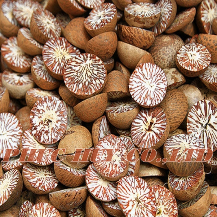 Whole Betel Nut Areca Nut Phuchuyco Ltd