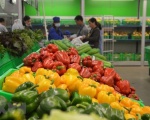 Fruit, vegetables exports up 7.9 percent in April